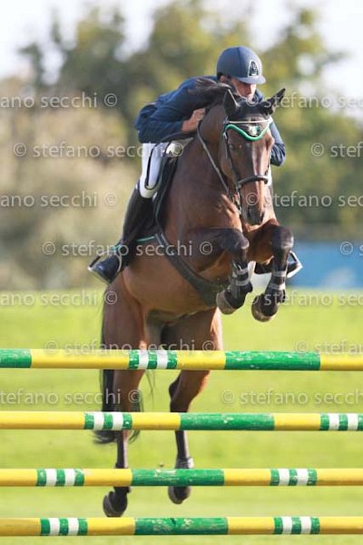 ROGIANI_ADELSCOT_GIO CAV 2011_SS3_7795.jpg